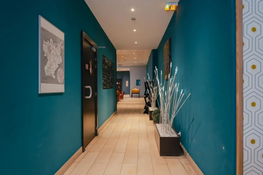 Comfort Aparthotel Saint-Etienne - Général
