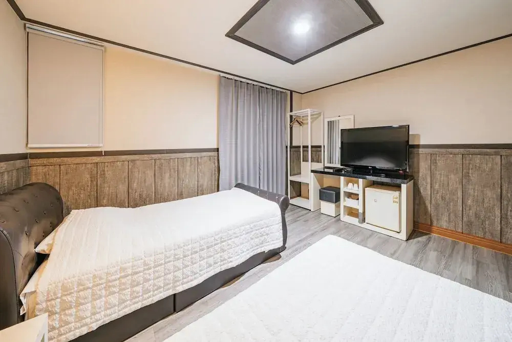 Standard Double room with city view (twin beds)