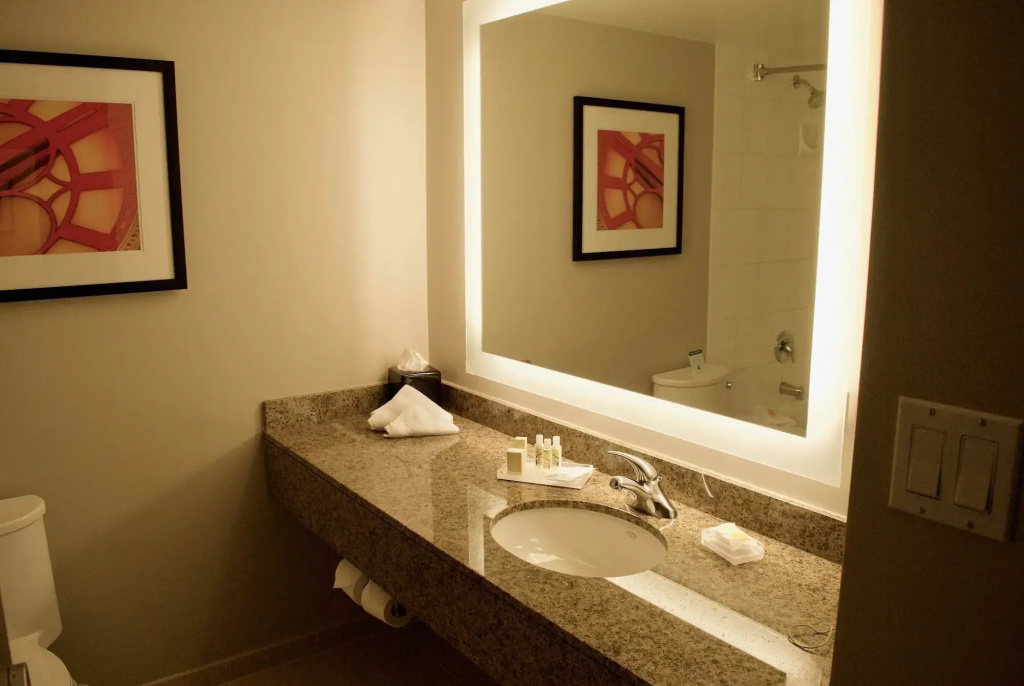 Holiday Inn Vancouver Airport- Richmond by IHG - Général