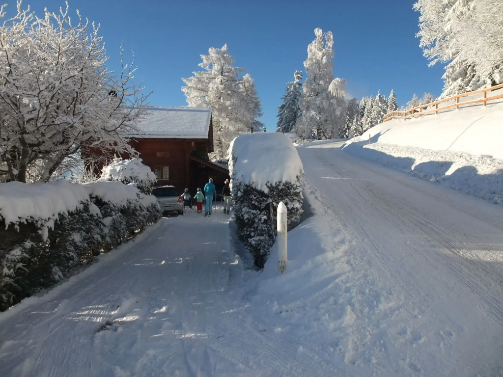 Chalet Zan-Fleuron - фото 27