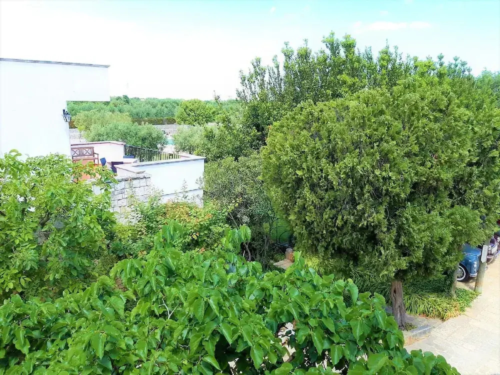 Standard Double room with courtyard view (full double bed)