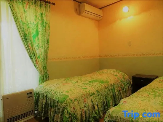 Standard Double room with mountain view (twin beds)