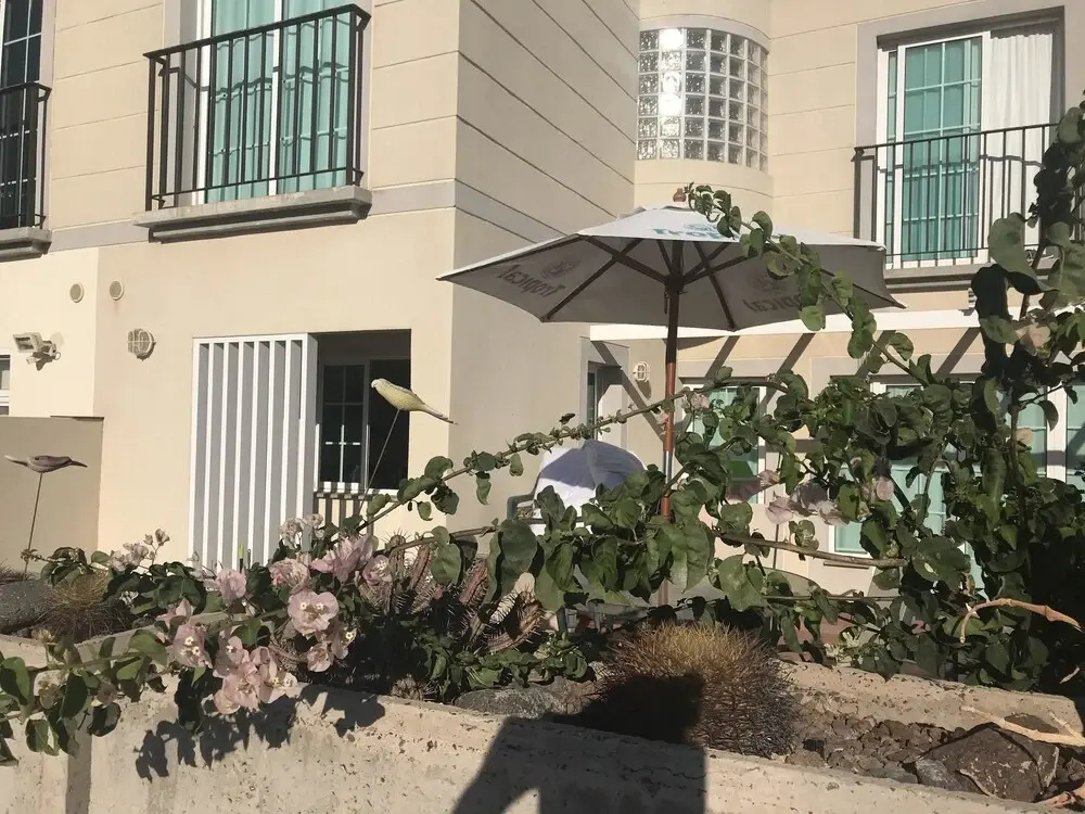 Apartment With 3 Bedrooms in El Chaparral, With Wonderful sea View, Po