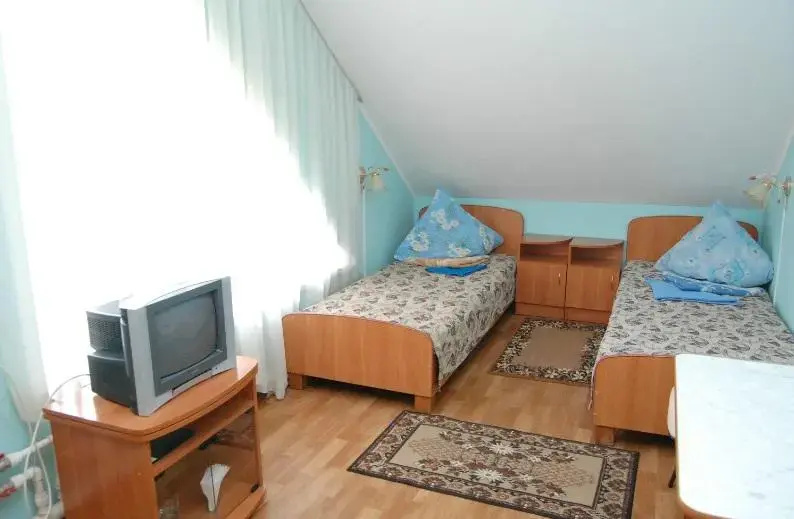 Economy Double Attic room (twin beds)