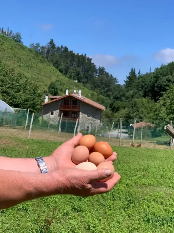 Agroturismo Urresti - фото 15