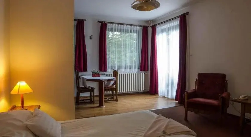 Silver Club Hotel - Général