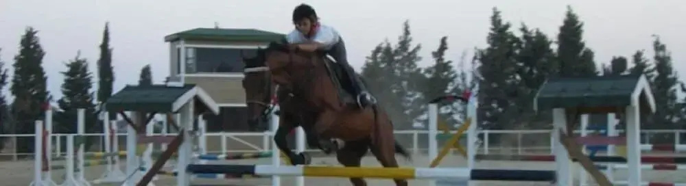 ERKANLI COUNTRY Resort , Spa & Riding Club - Special Class - фото 16