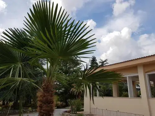 Villa Venus Woods