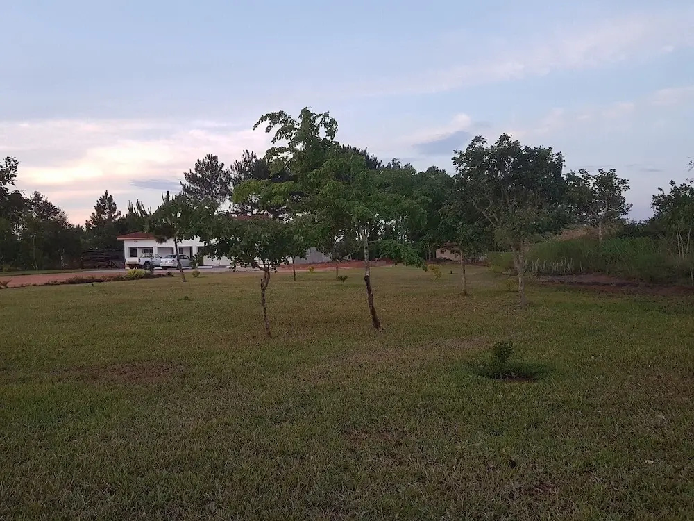 Rayoni Guesthouse B&B