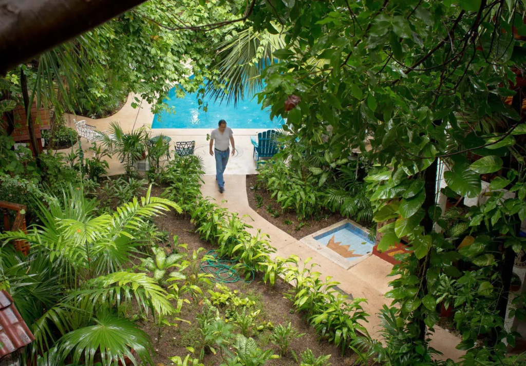 Eco-Hotel El Rey del Caribe - Général