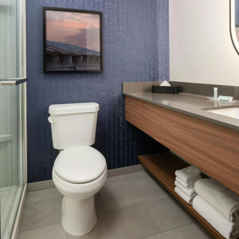 Fairfield Inn & Suites by Marriott Scottsdale Old Town - Général