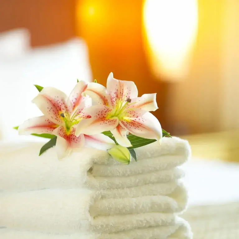 Superior Double room (twin beds)