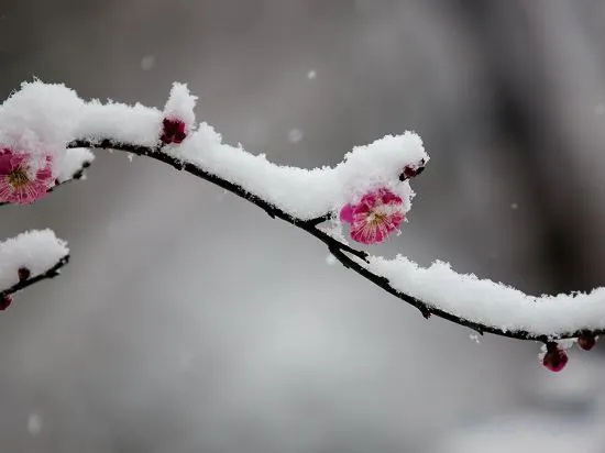 Yabuli Chengyouyou Ski Holiday Villa