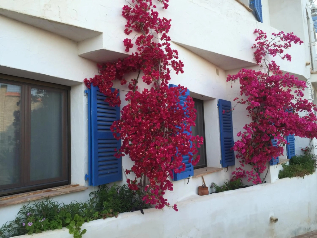 Apartamento Alba Beach
