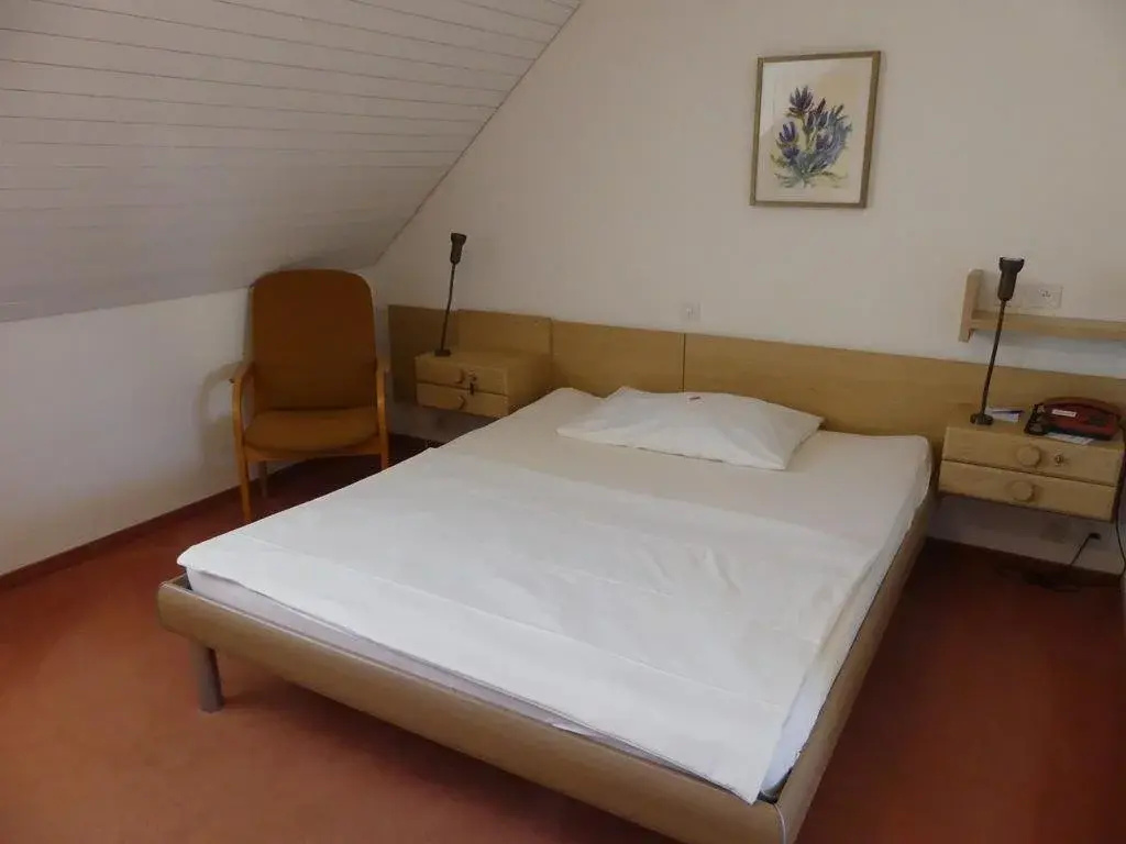 Hotel Adler - фото 6