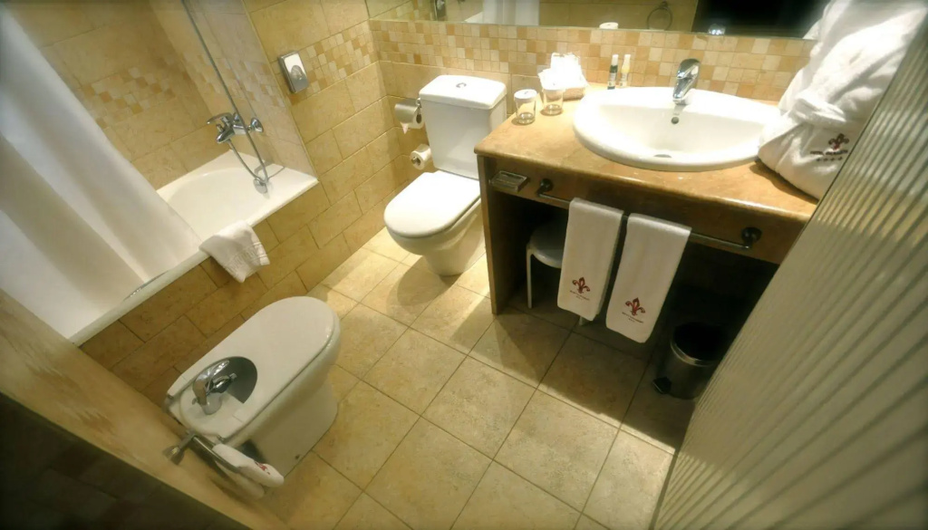 Hotel SPA Termes Carlemany - Général