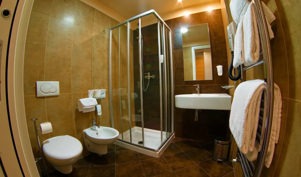 Hotel Sporting Cologno - Général
