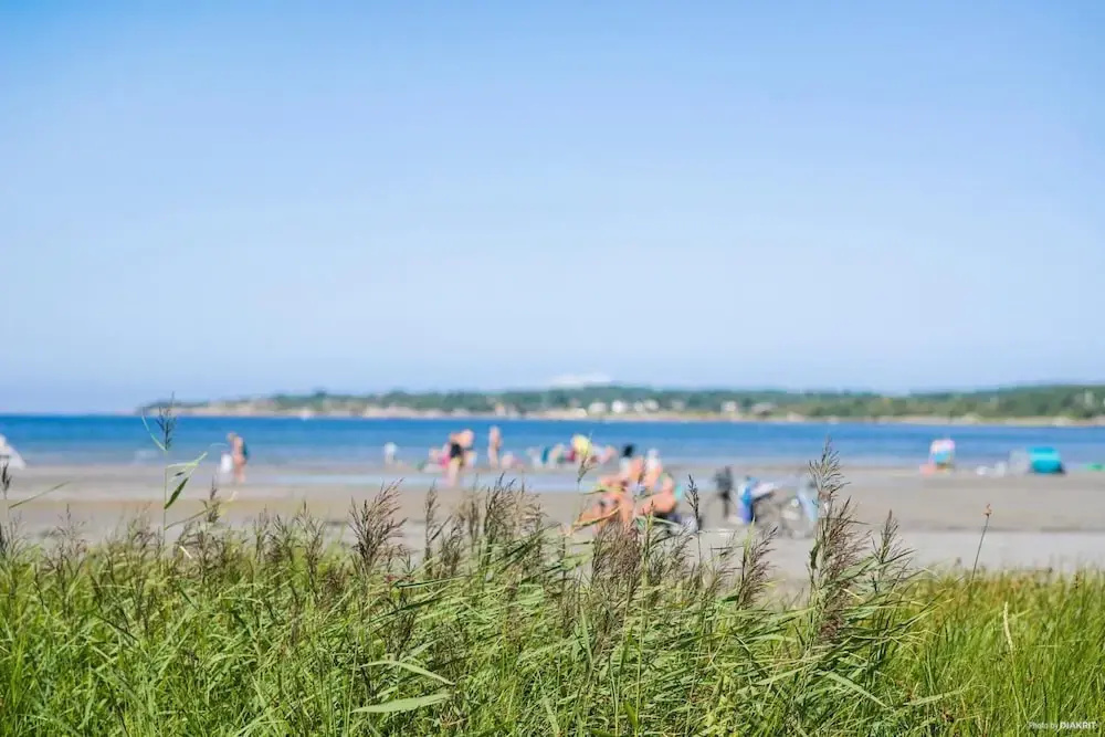 Beach & Waterfront