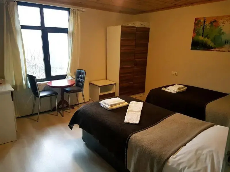 Standard Double room (twin beds)