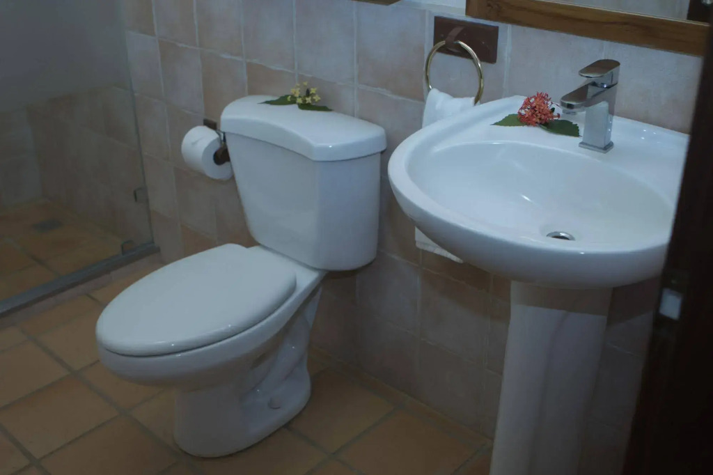 Hotel Palma de Oro - фото 20