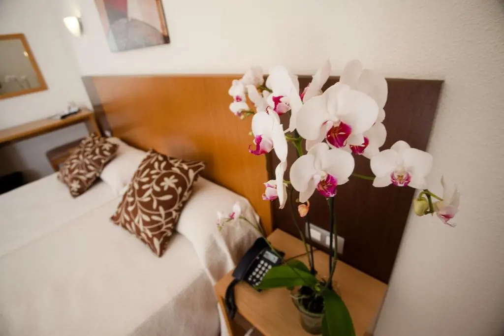 Hotel Gran Sol Ibiza - Chambres