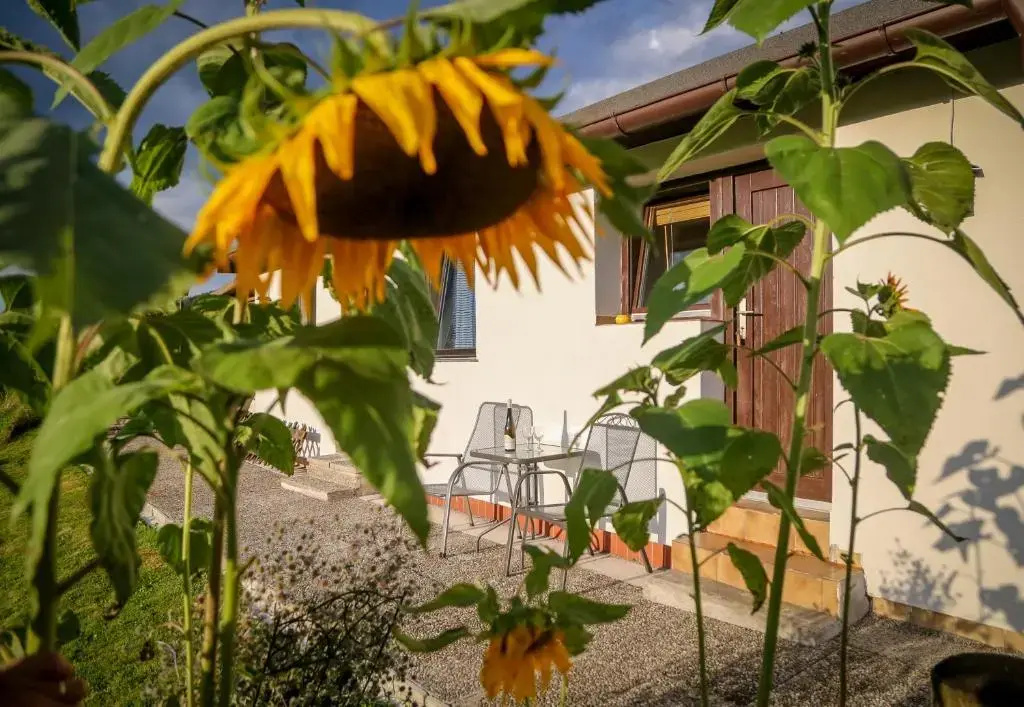 Gasthof Rauschberghof - Chambres