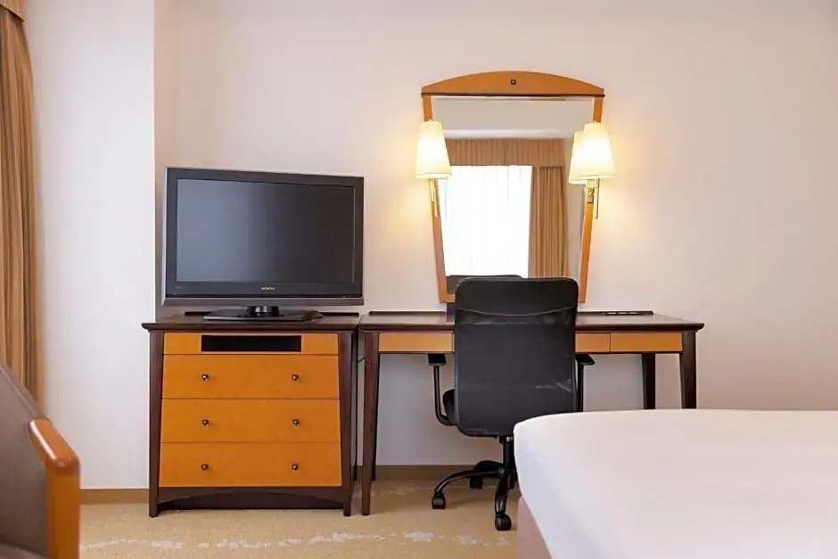 ANA Crowne Plaza Toyama by IHG - Chambres