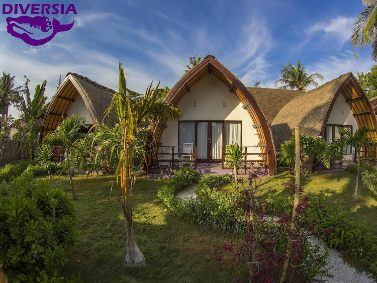 Diversia Dive Shop & Bungalows image