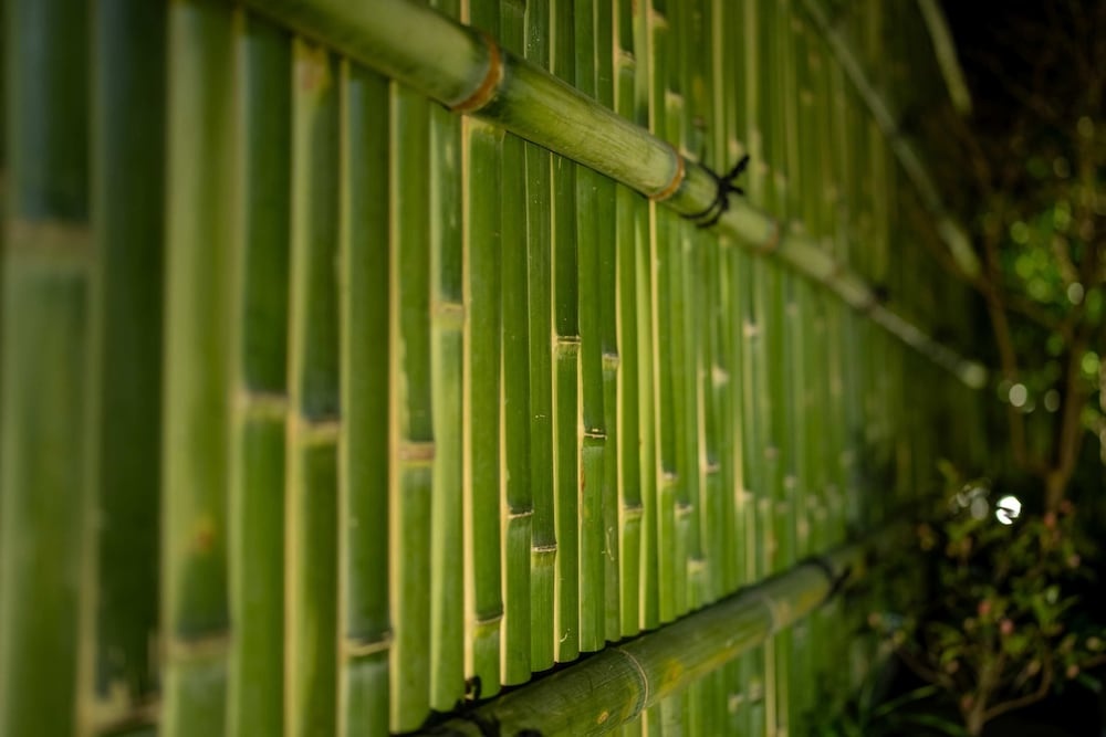 Kyoto Toji Suites & Residence 사진 14