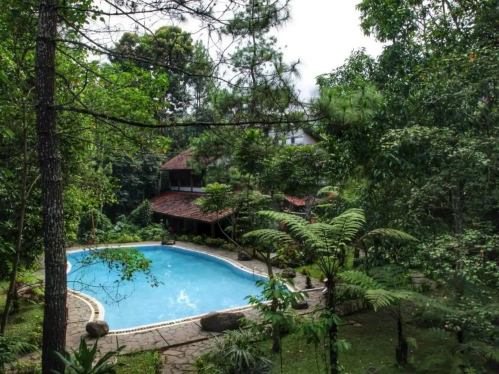 Hotel photo 15