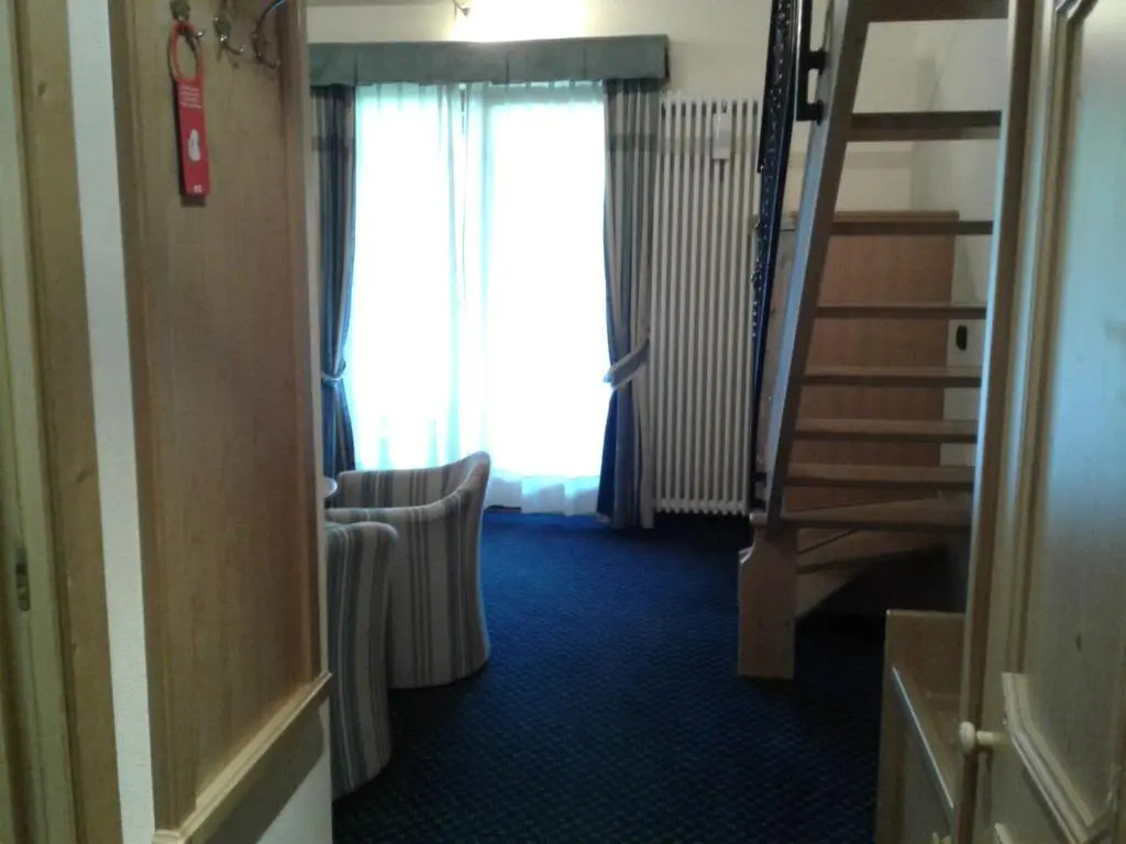 Standard Double room with mountain view (full double bed)