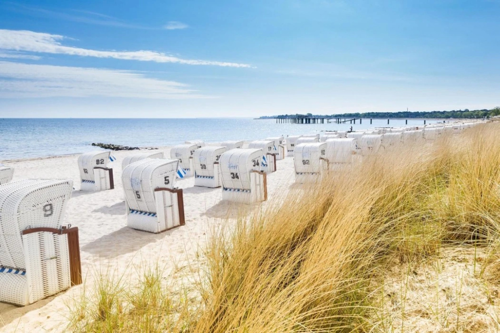 Beach & Waterfront