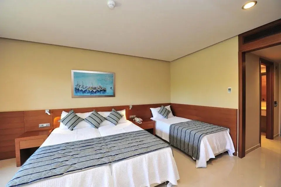 Apollonion Asterias Resort and Spa - Chambres