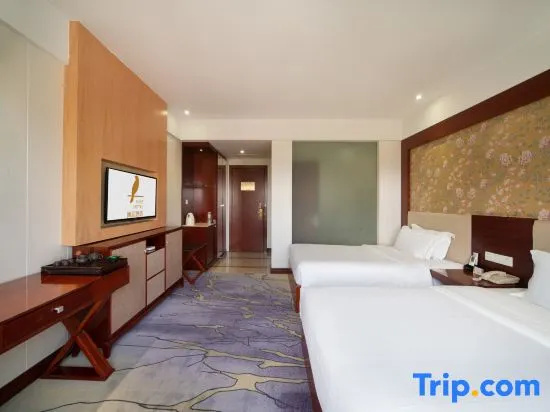 Luxury room