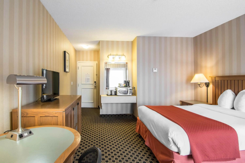 Quality Hotel — 5