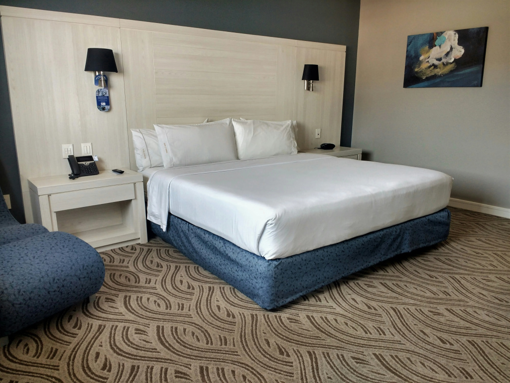 Holiday Inn Express Pachuca by IHG - Général