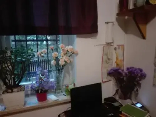 image url