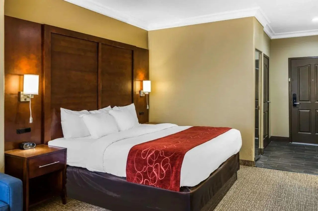 Comfort Suites San Jose Airport - Général