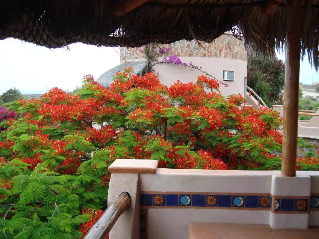 Standard Double room with ocean view (full double bed)