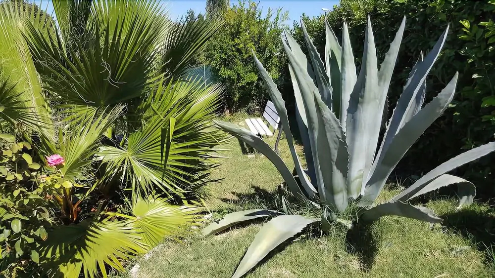 B&B A Casa di Titti
