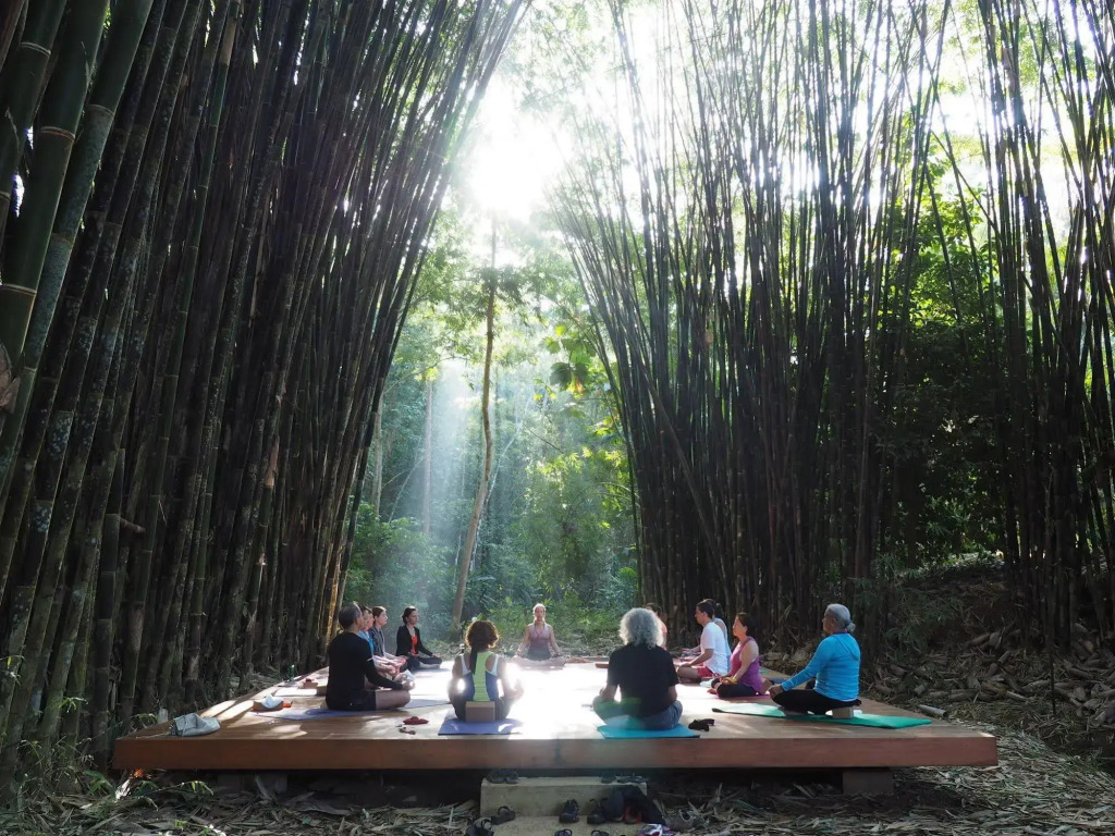 Macaw Lodge - фото 13