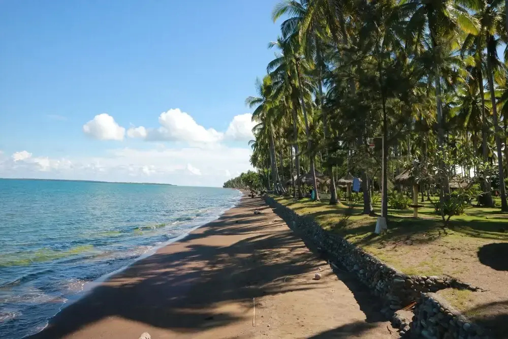 Beach & Waterfront