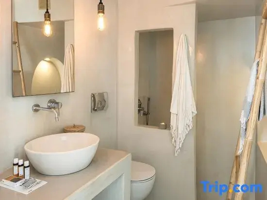 Basement Suite