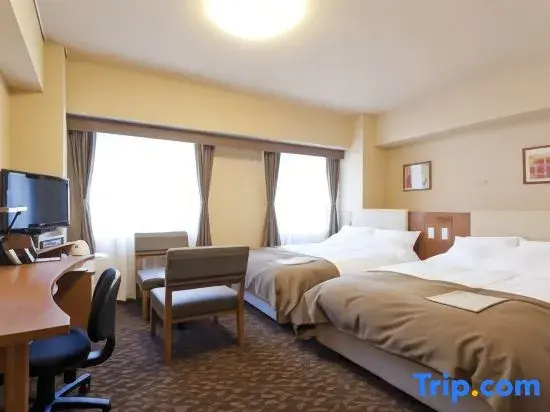 Standard Double room with city view (twin beds)