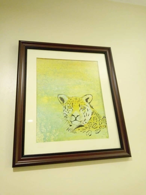 images