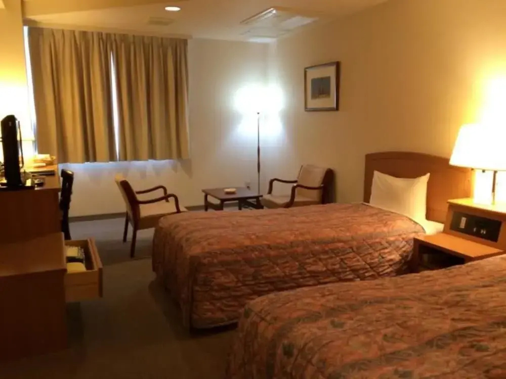 Standard Double room (twin beds)