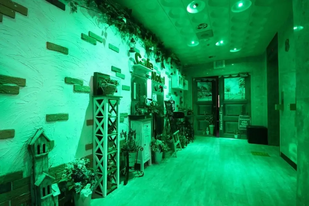 Hotel photo 19