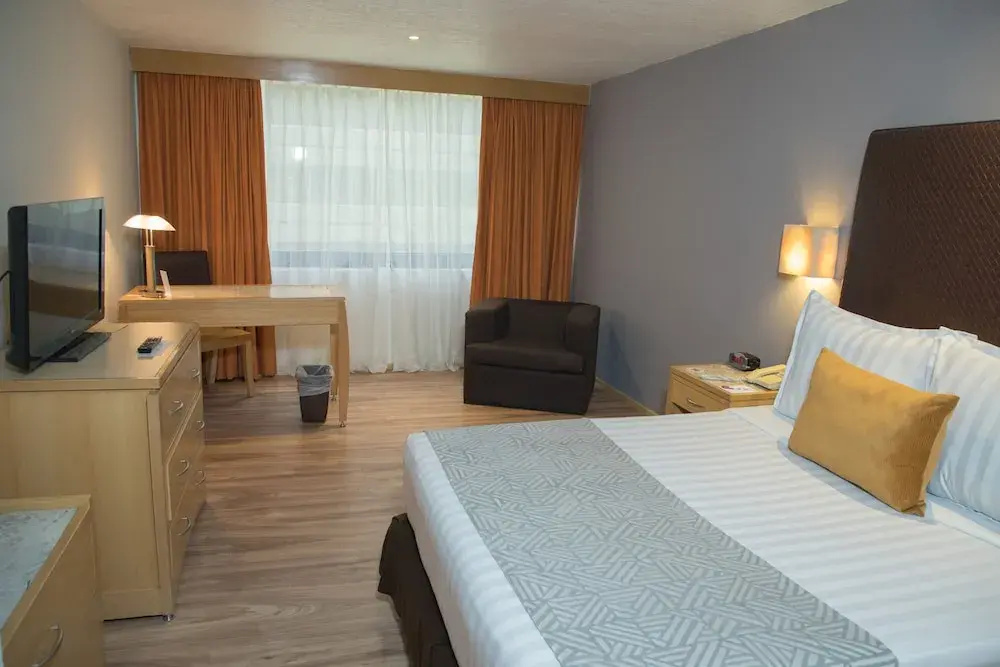 Double Junior Suite (full double bed)