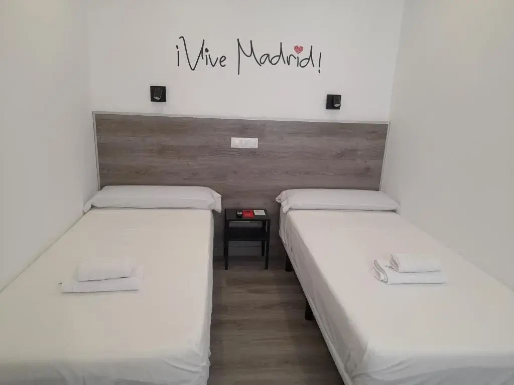 Standard Double room (twin beds)