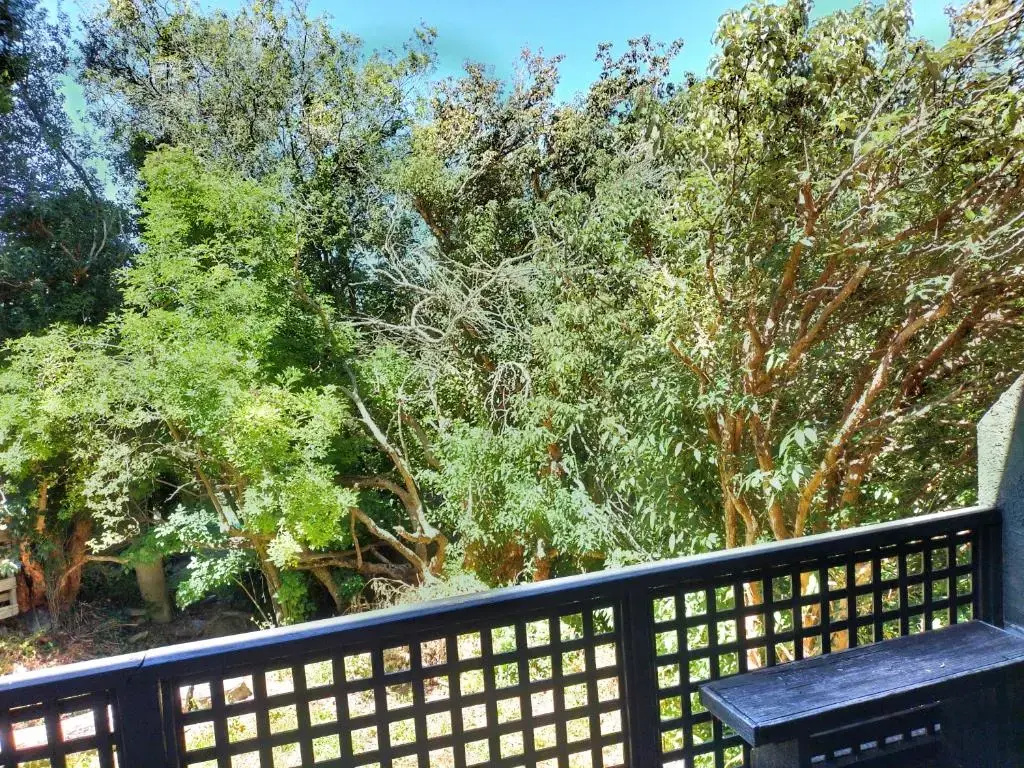Trees & Birdsong